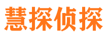 武都市侦探调查公司